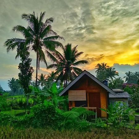 Citra Homestay Tetebatu Extérieur photo