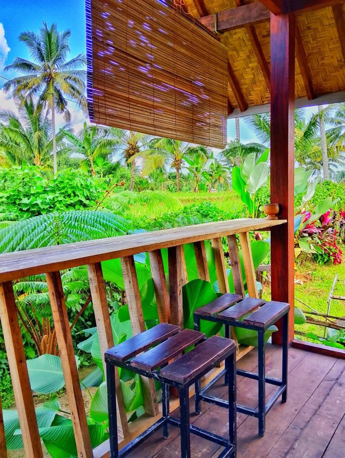 Citra Homestay Tetebatu Extérieur photo