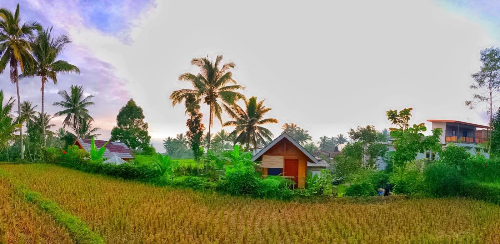 Citra Homestay Tetebatu Extérieur photo