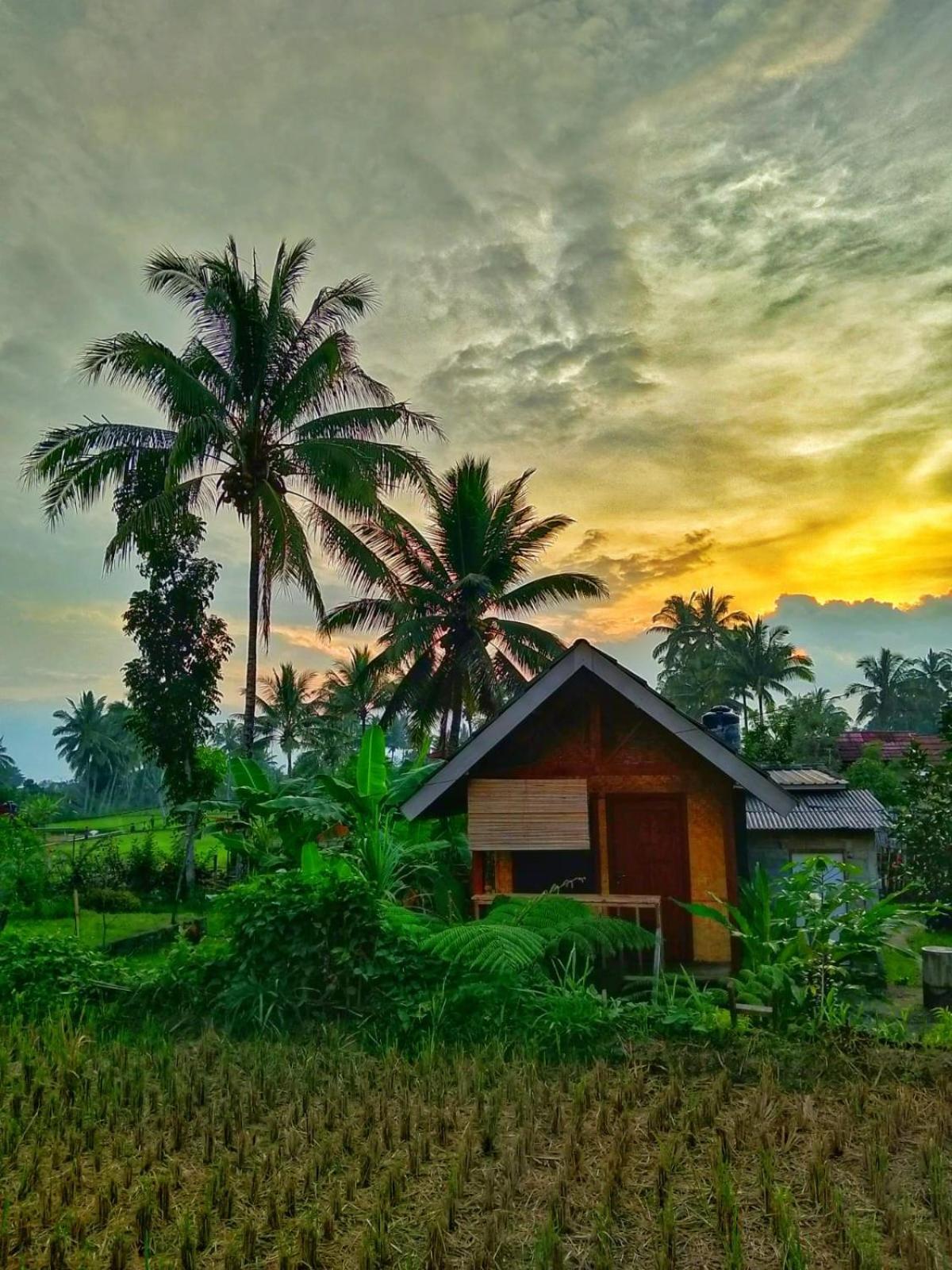 Citra Homestay Tetebatu Extérieur photo