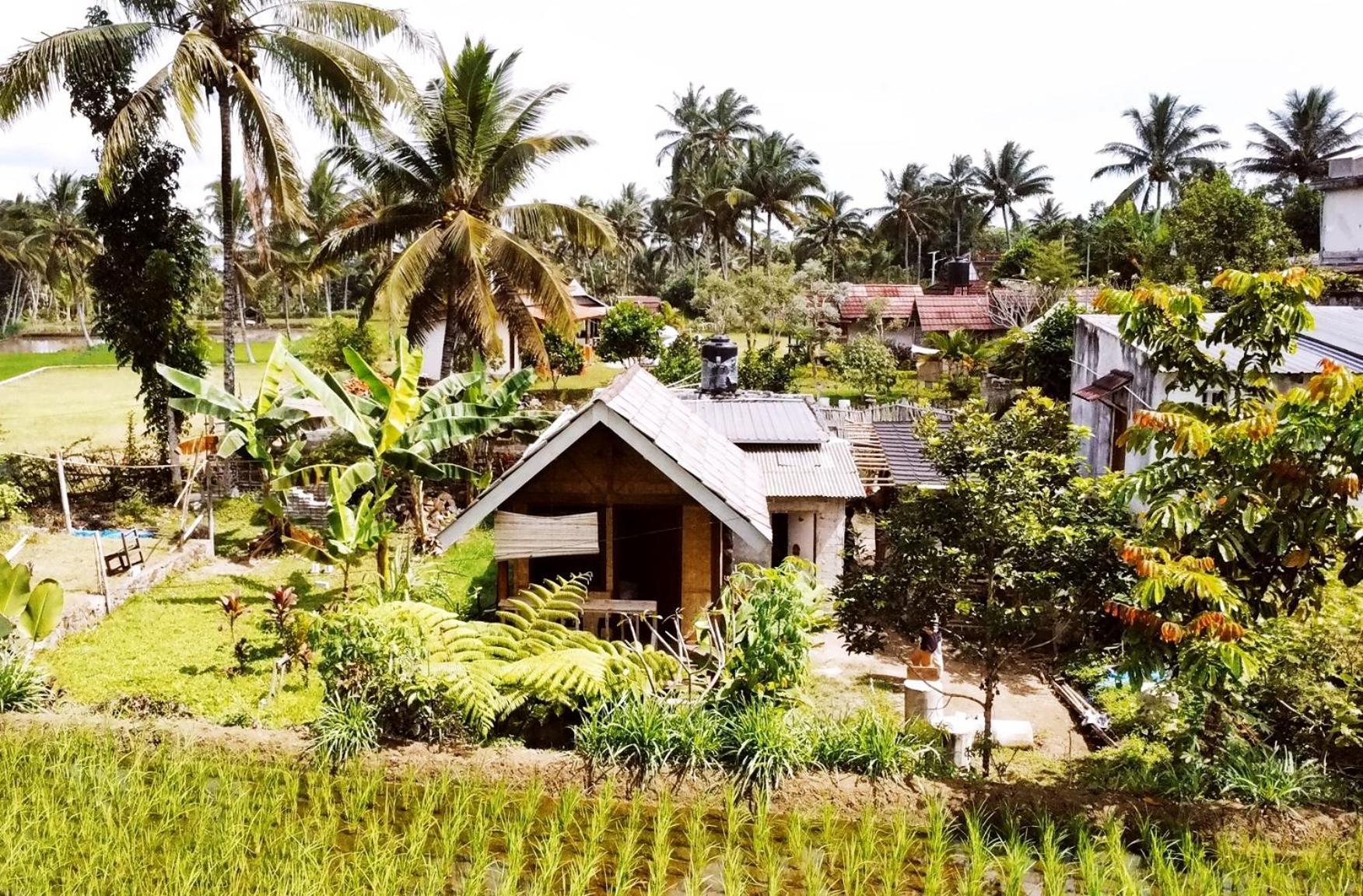 Citra Homestay Tetebatu Extérieur photo