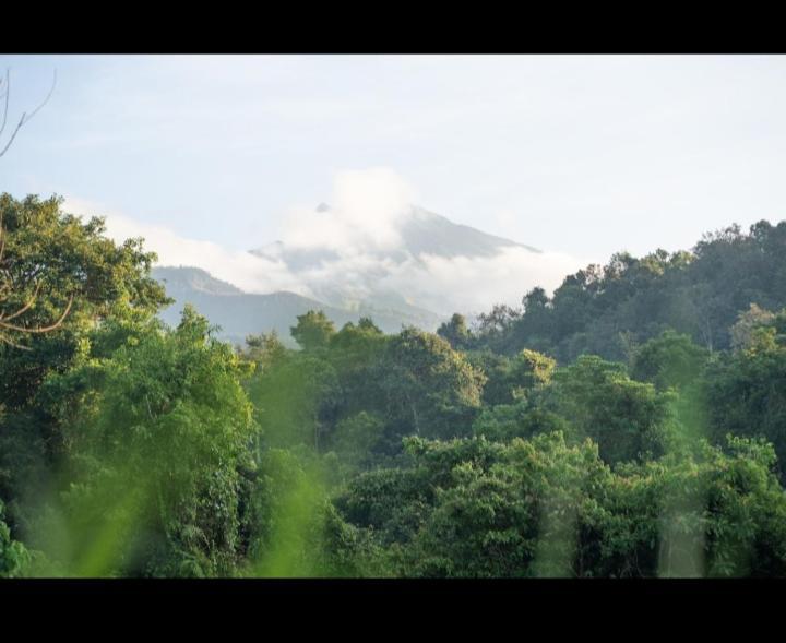 Citra Homestay Tetebatu Extérieur photo