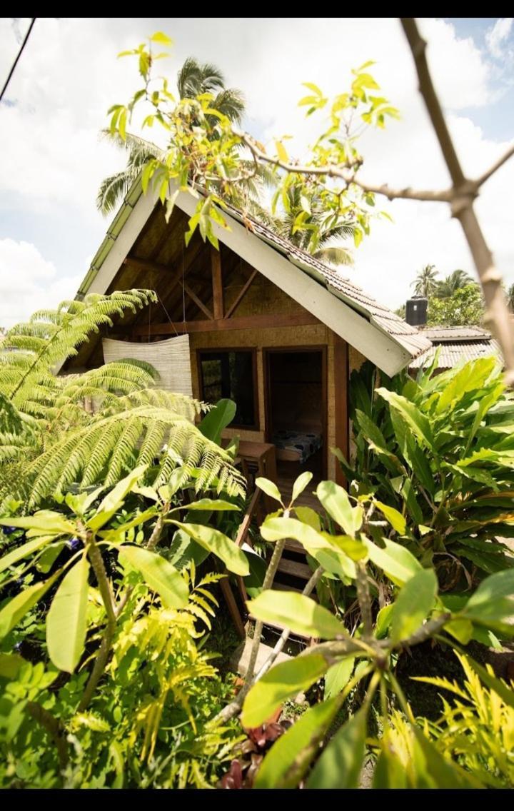 Citra Homestay Tetebatu Extérieur photo